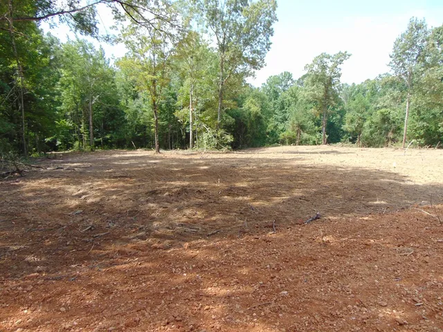 $26,500 | 1005 Tarver Lane, Wesson, MS 39191