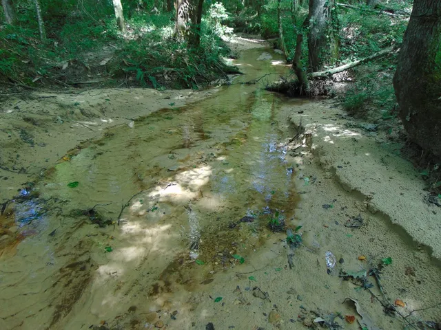 $26,500 | 1005 Tarver Lane, Wesson, MS 39191