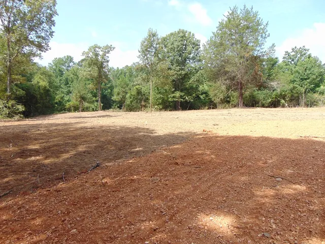 $26,500 | 1005 Tarver Lane, Wesson, MS 39191