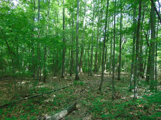 $26,500 | 1005 Tarver Lane, Wesson, MS 39191