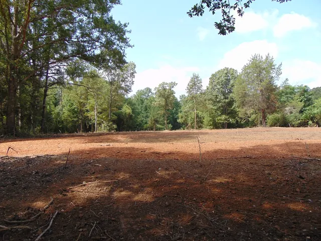 $26,500 | 1005 Tarver Lane, Wesson, MS 39191