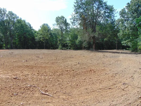 $36,000 | 1005 Tarver Lane, Wesson, MS 39191