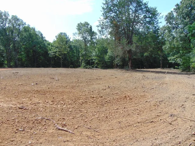 $26,500 | 1005 Tarver Lane, Wesson, MS 39191