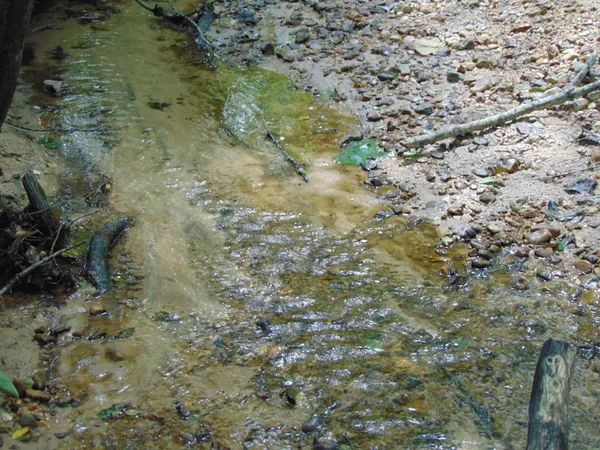 $36,000 | 1005 Tarver Lane, Wesson, MS 39191