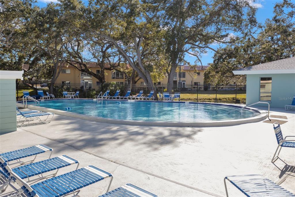 2019 High Ridge Drive Clearwater, FL 33763 - Photo 30 of 32