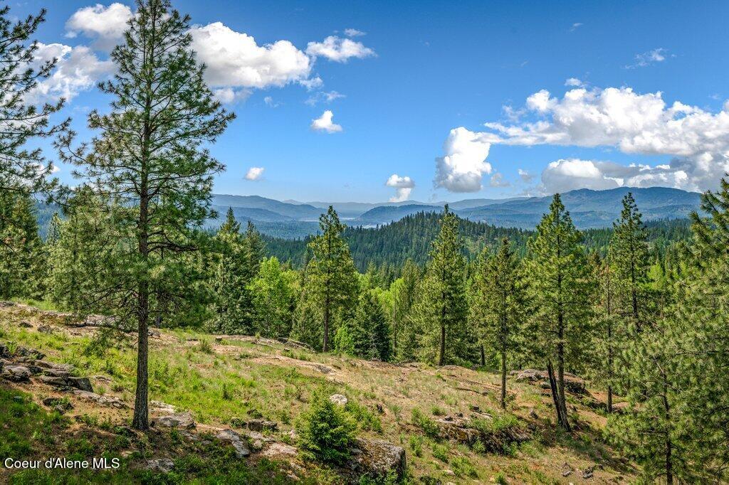 90 Riverview Circle Sandpoint, ID 83864 - Photo 5 of 84 --77.jpg-SMALL