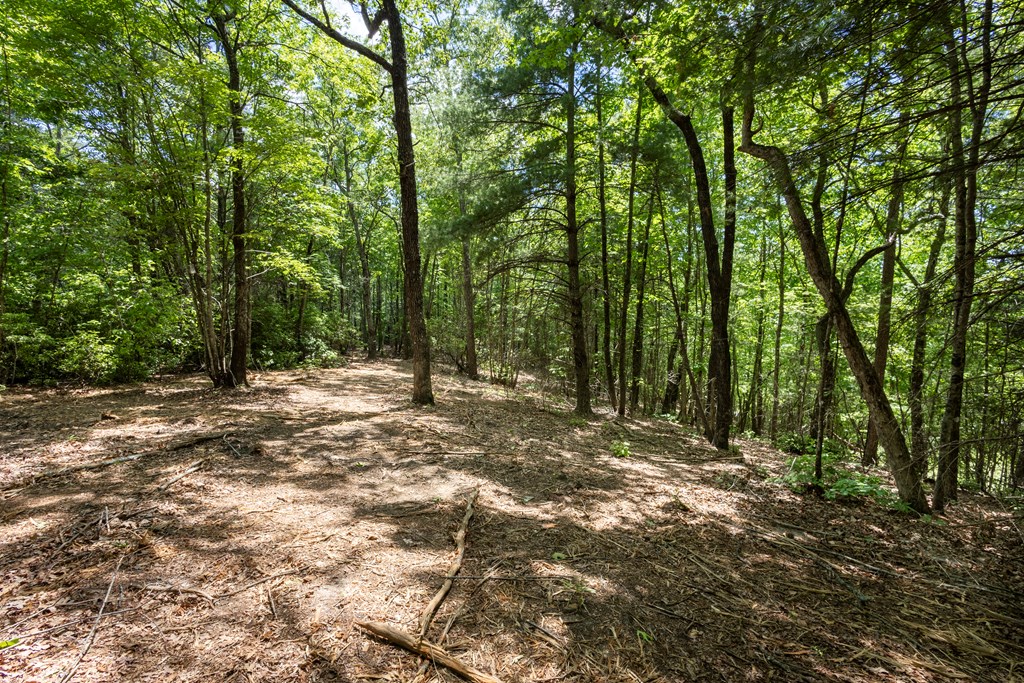 4.3-ac Donley Road Murphy, NC 28906 - Photo 8 of 14