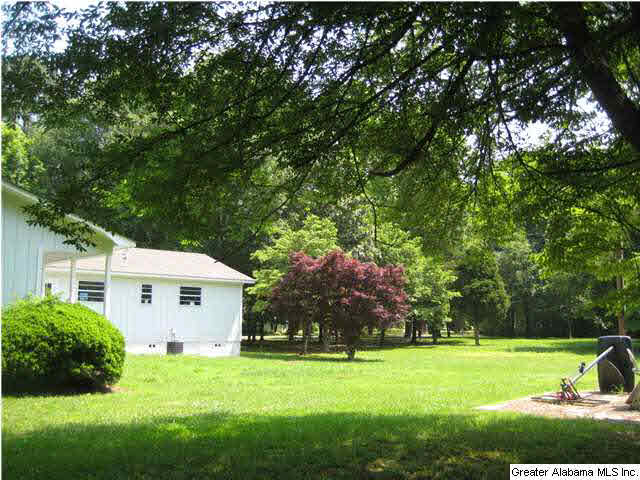 420 Happy Hollow Road Odenville, AL 35120 - Photo 3 of 23