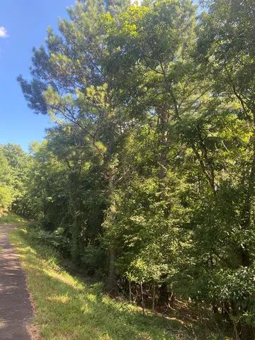 a view of a tree in front of a yard