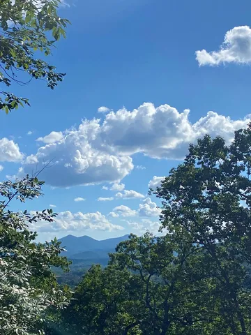a view of a yard in front of the house