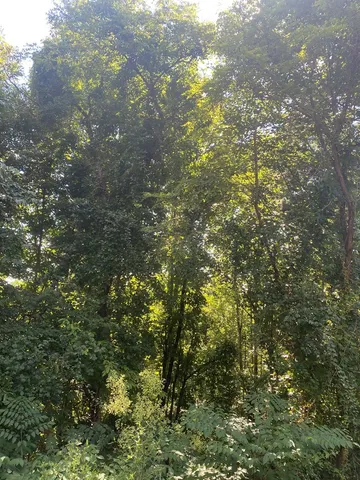 $52,000 | Lot 112 Natalie Lane, Blairsville, GA 30512