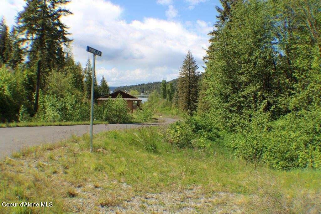 L15b1 Johnson Meadows Estates Harrison, ID 83833 - Photo 5 of 5 lot15