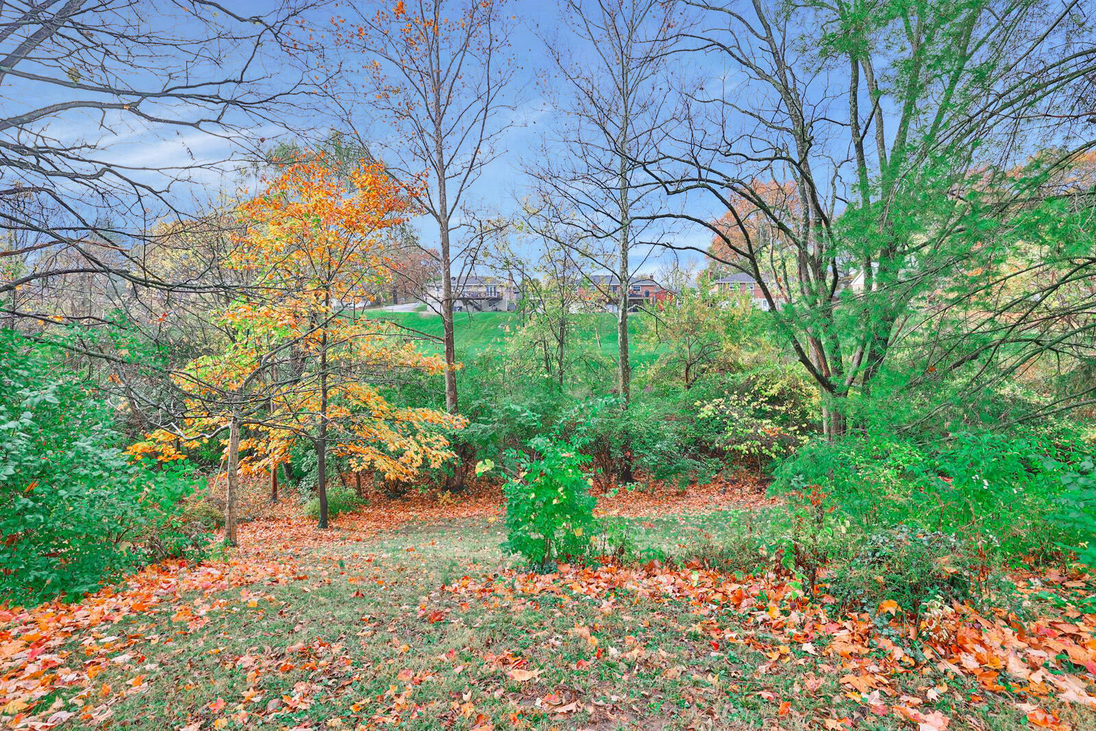 357 Carimel Ridge Drive Edgewood, KY 41017 - Photo 22 of 36 Gallery Image 22