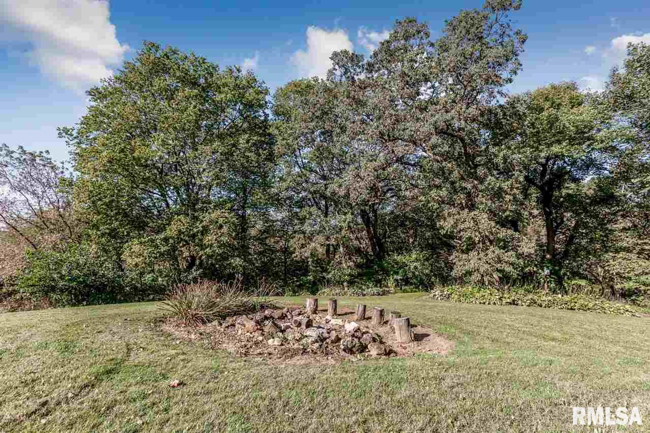 9058 484th Avenue Miles, IA 52064 - Photo 28 of 29