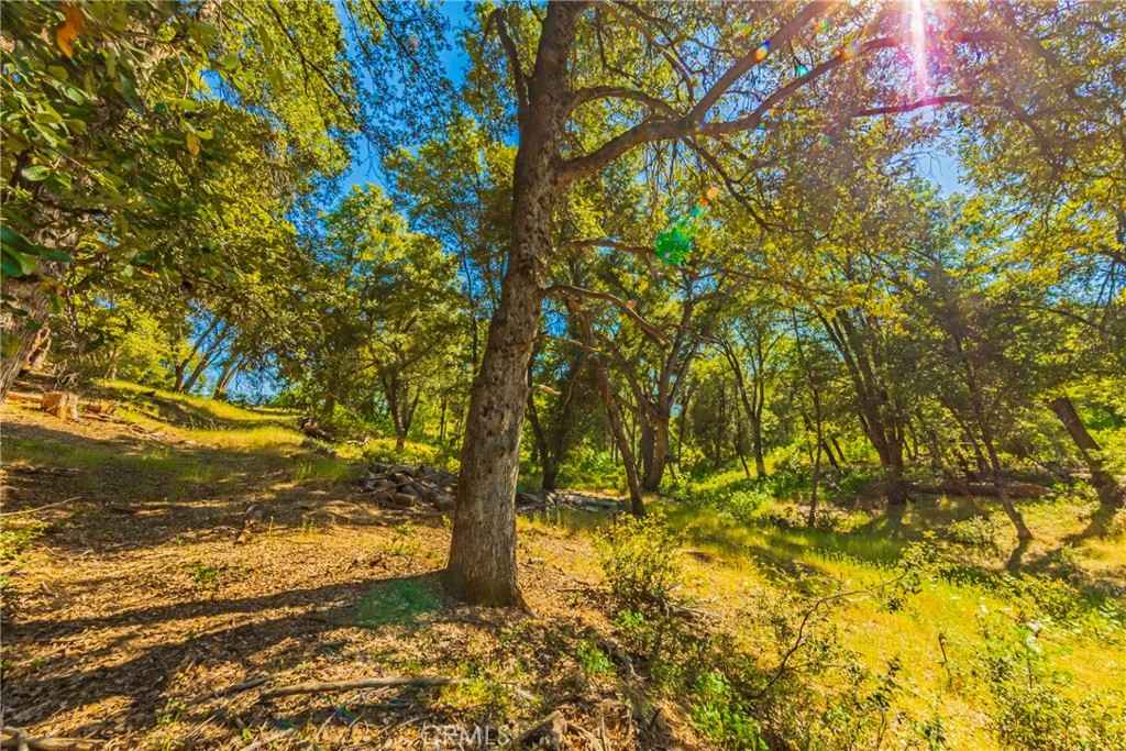 0 3 Springs Road Oakhurst, CA 93644 - Photo 6 of 20
