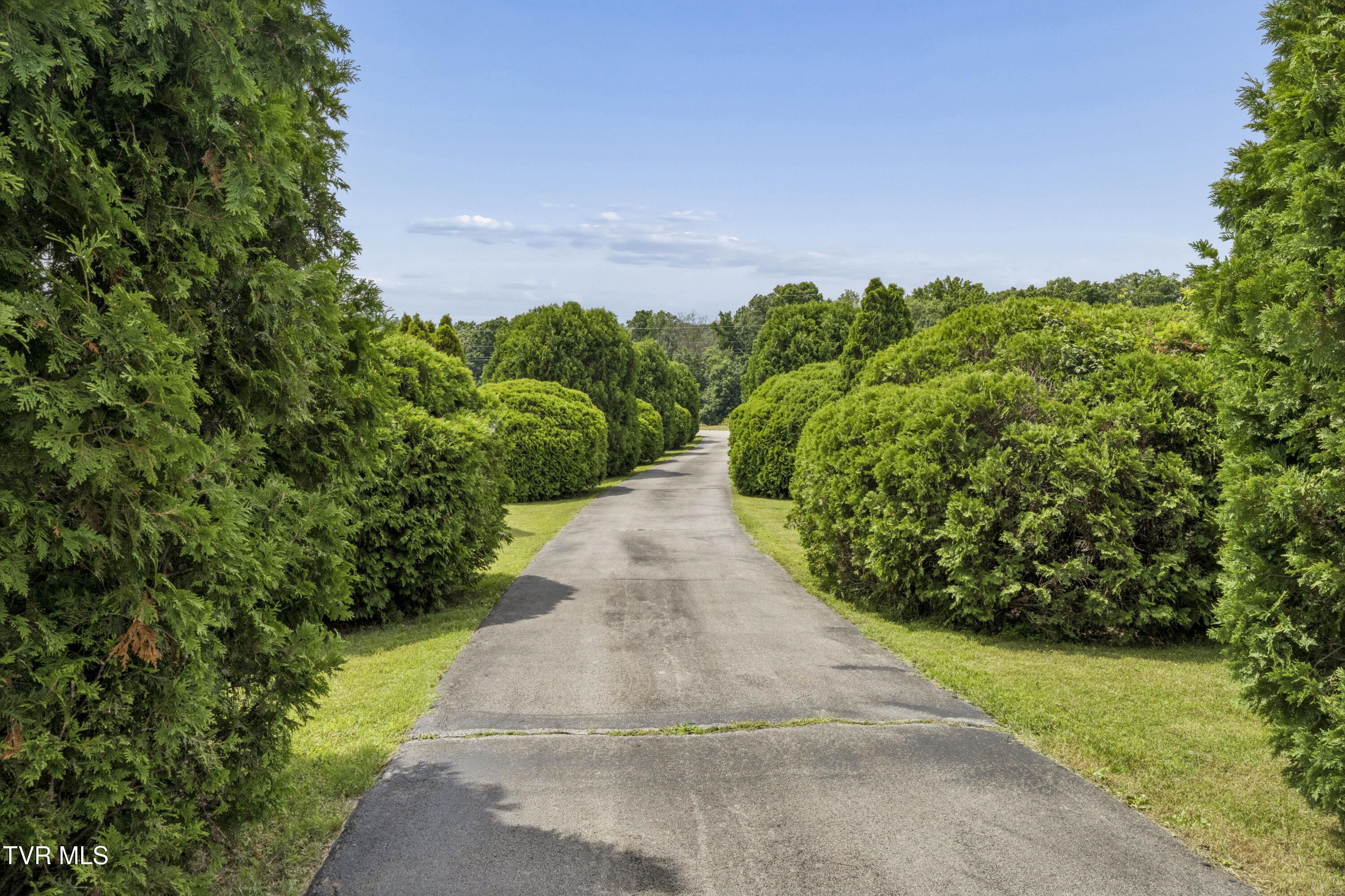 173 D Ward Road Jonesborough, TN 37659 - Photo 8 of 82 DWard-64