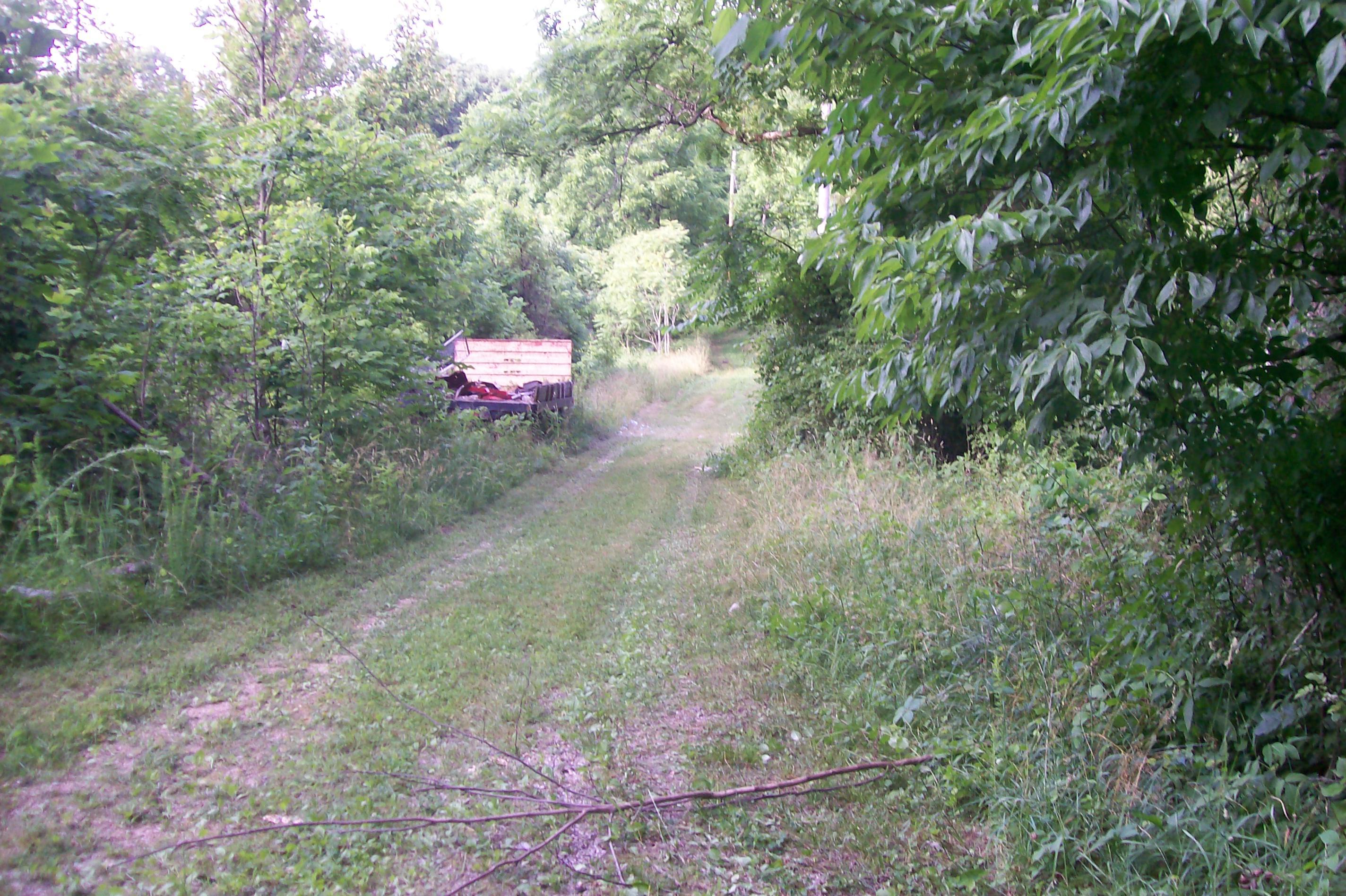 441 Lewallen Road Clinton, TN 37716 - Photo 14 of 40 101_5110