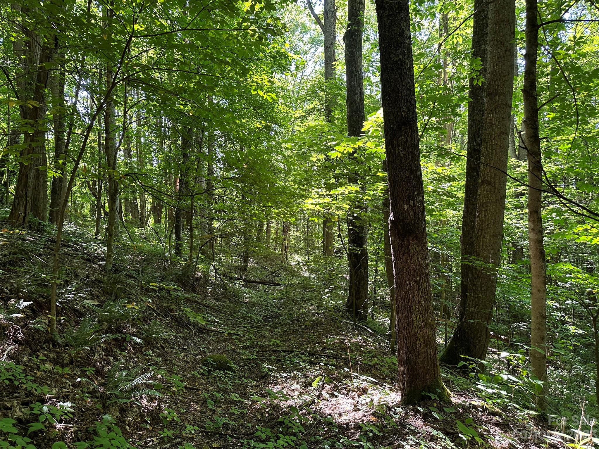 0 Old Country Road, Unit 309 Waynesville, NC 28786 - Photo 1 of 10 Gallery Image 1