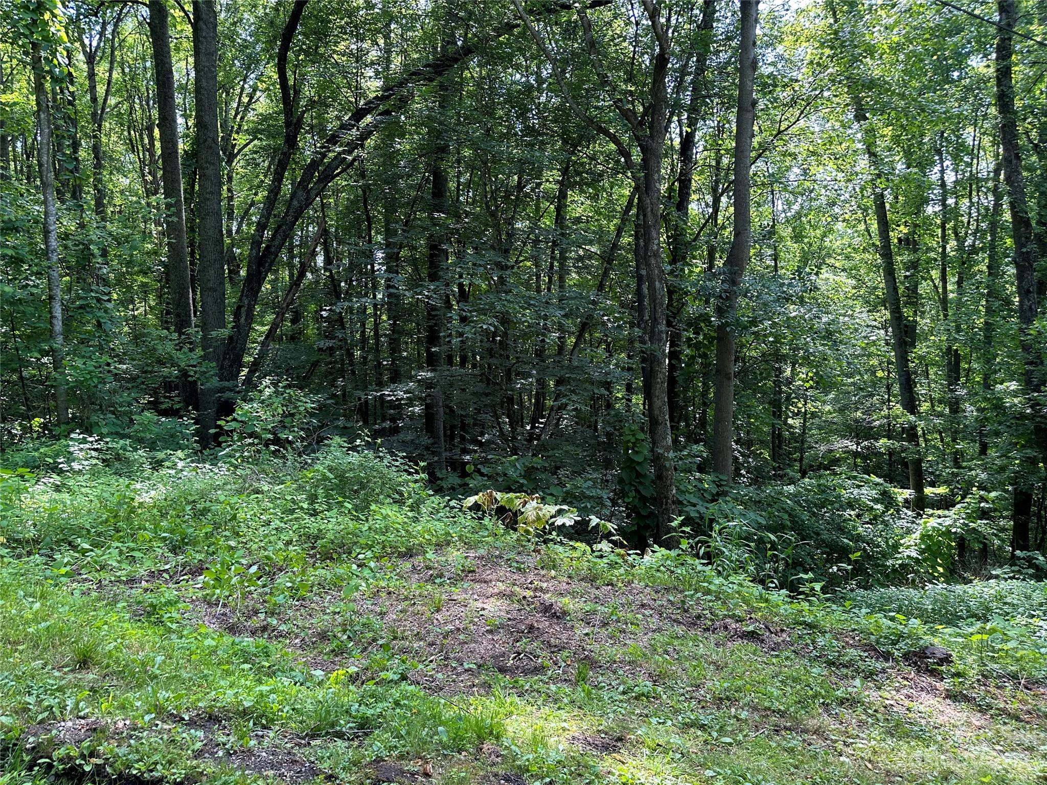 0 Old Country Road, Unit 309 Waynesville, NC 28786 - Photo 6 of 10 Gallery Image 6
