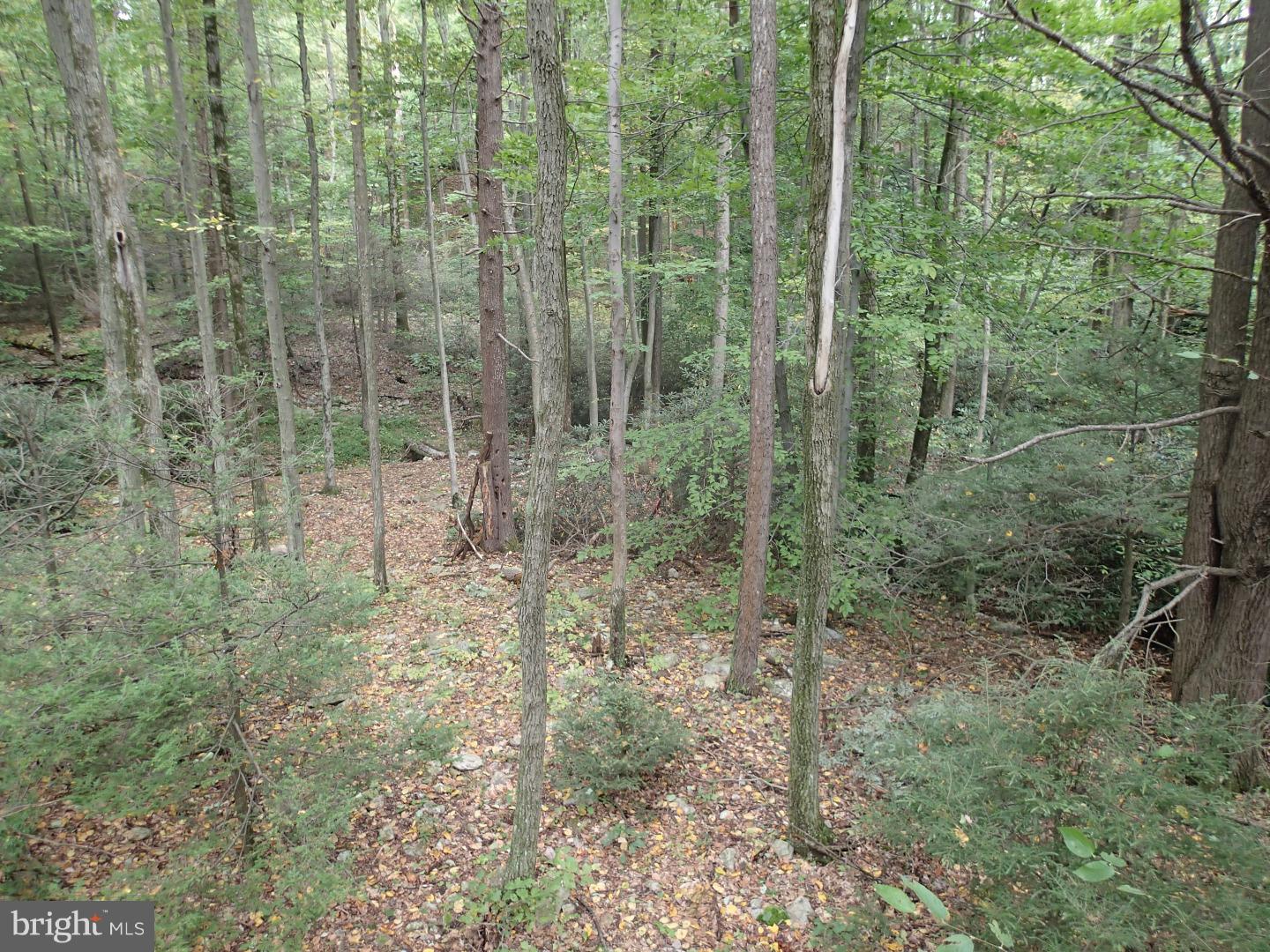 81 Blue Rocks Road Lenhartsville, PA 19534 - Photo 2 of 22 Gallery Image 2