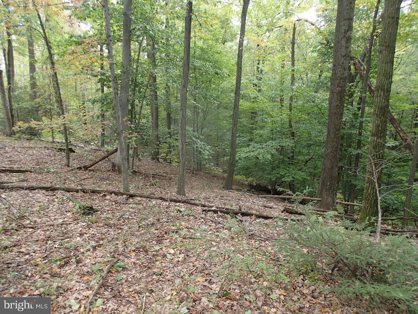 81 Blue Rocks Road Lenhartsville, PA 19534 - Photo 7 of 22 Gallery Image 7