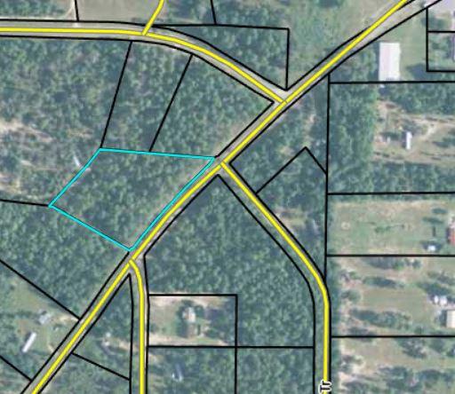 0 Young Road Box Springs, GA 31801 - Photo 2 of 3 Gallery Image 2