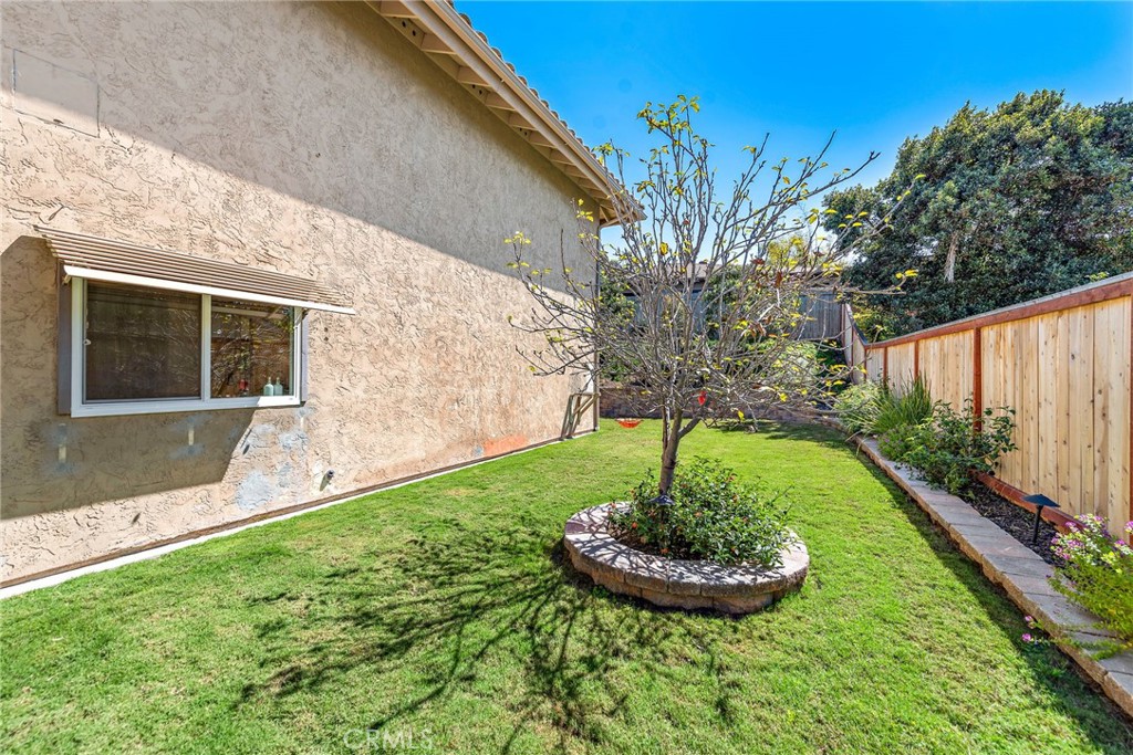 5649 Roane Drive Oceanside, CA 92057 - Photo 28 of 42 a view of a backyard with plants and a garden