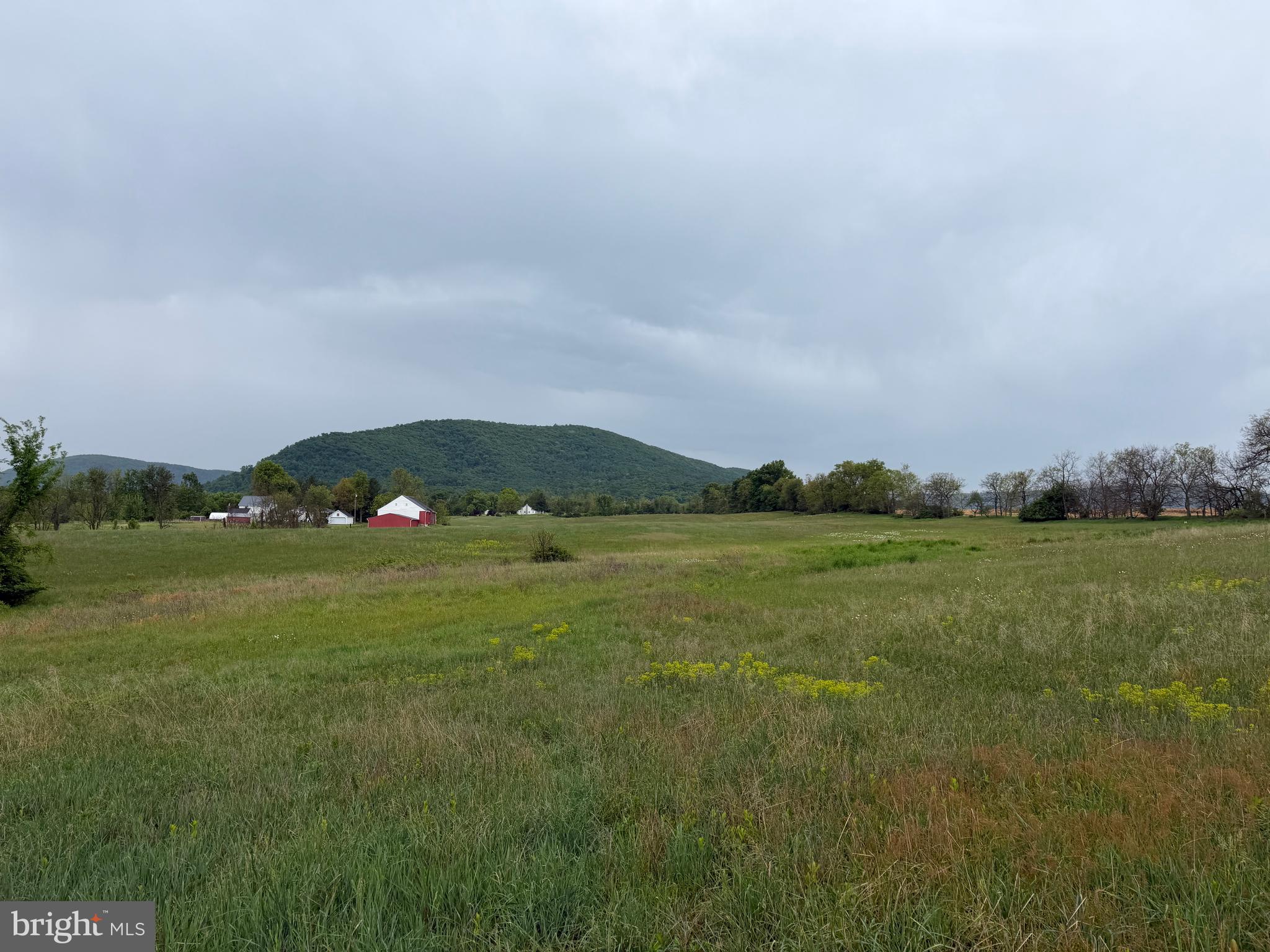 12591 Shimpstown Road Mercersburg, PA 17236 - Photo 57 of 147