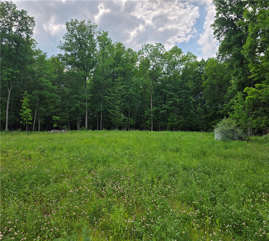 6221 Cleary Road Livonia, NY 14487 - Photo 9 of 14