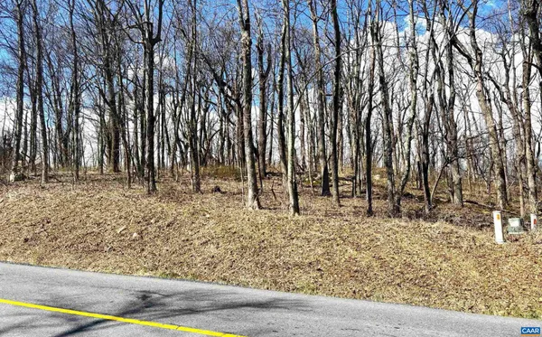 $41,000 | 433 Laurel Springs Drive, Unit 1, Roseland, VA 22967
