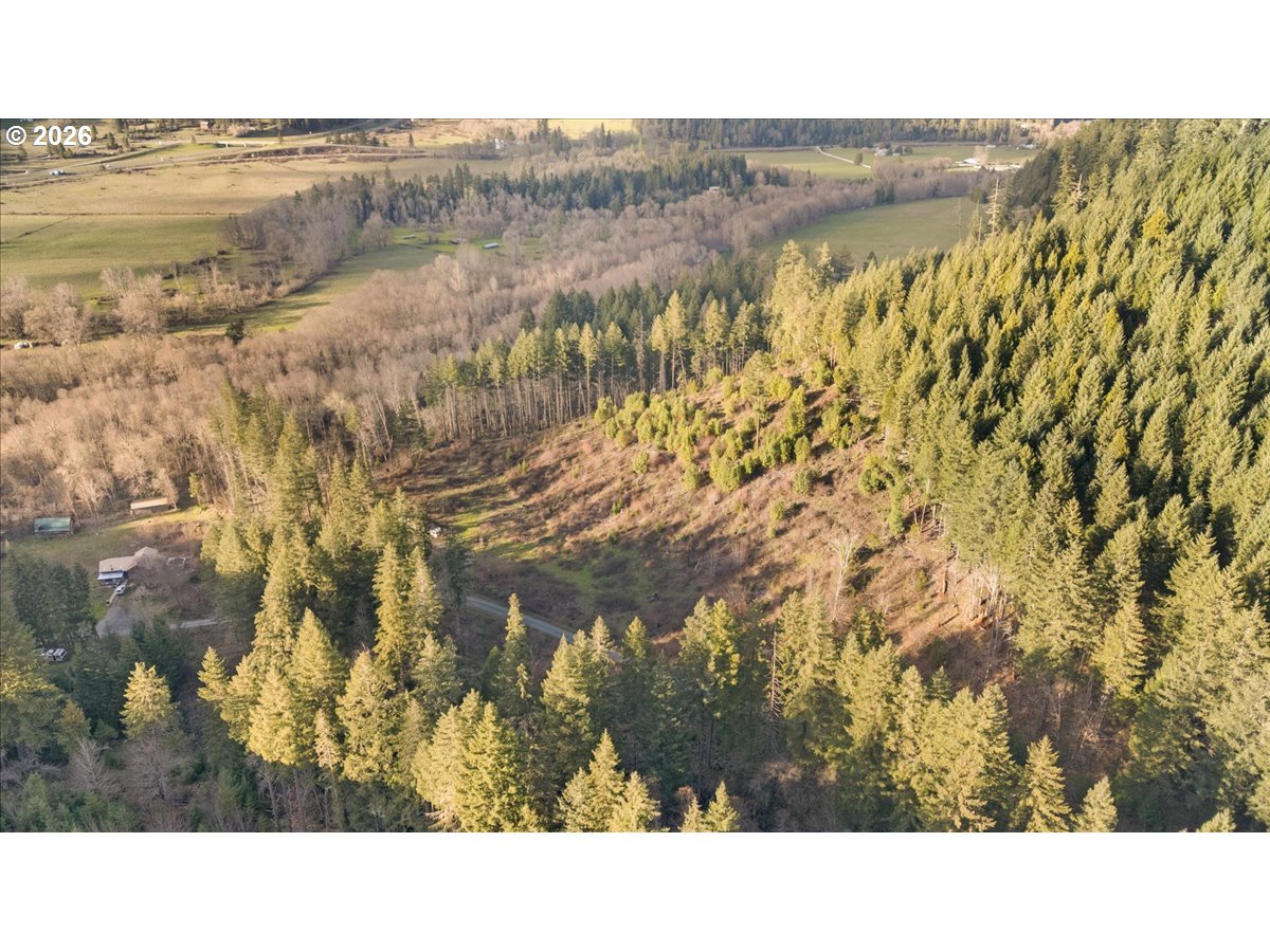 1860 Eakin Road Azalea, OR 97410 - Photo 11 of 12