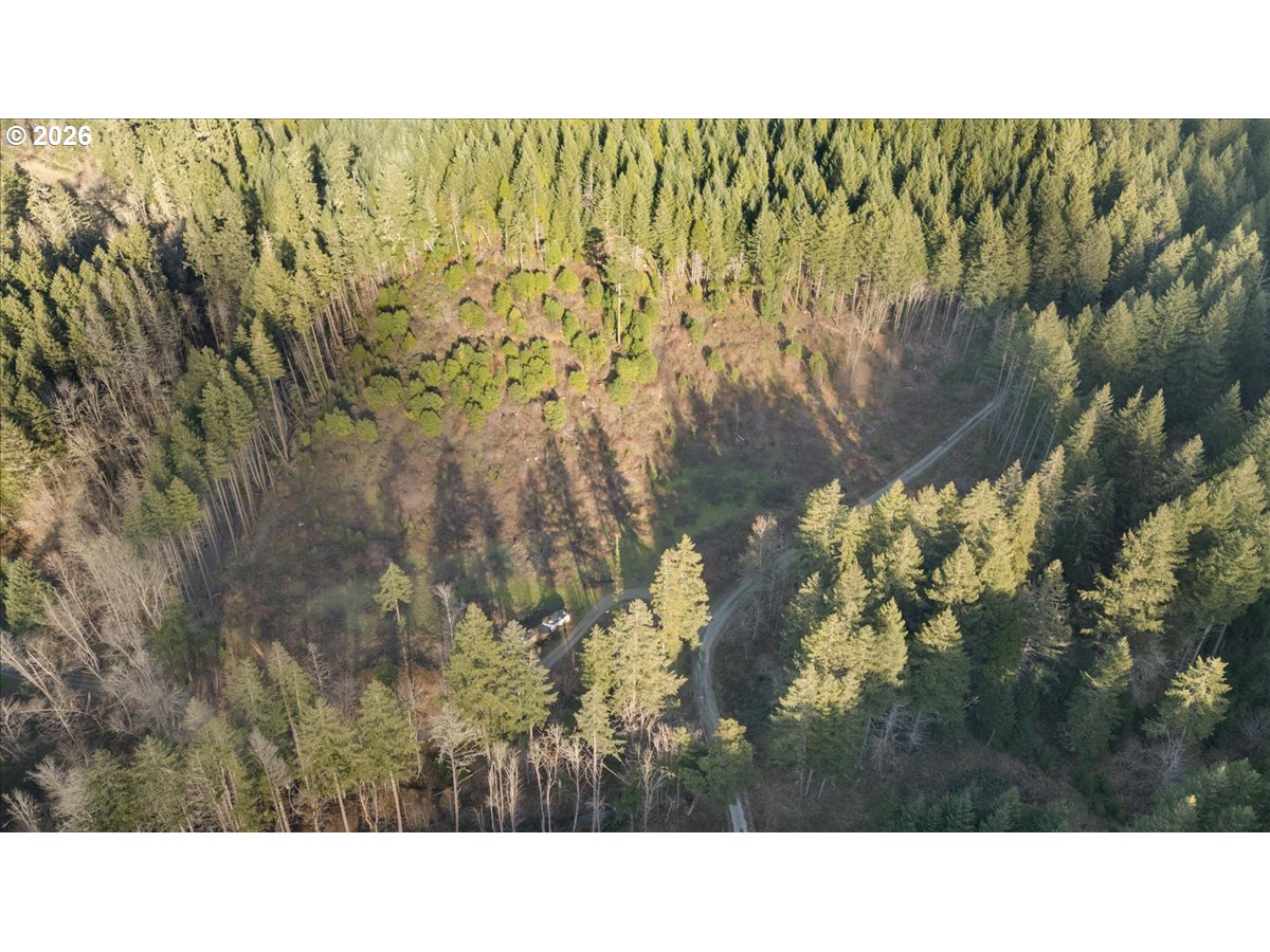 1860 Eakin Road Azalea, OR 97410 - Photo 2 of 12