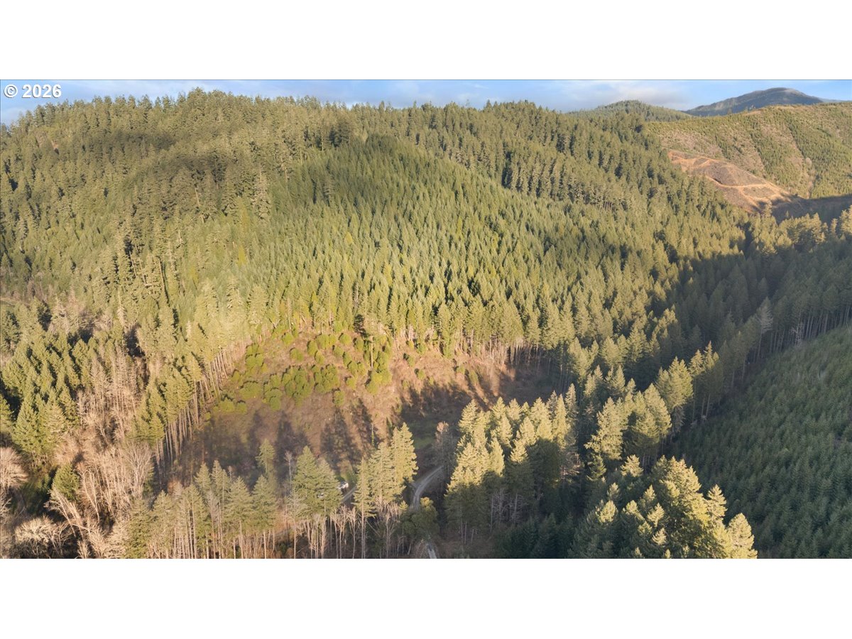 1860 Eakin Road Azalea, OR 97410 - Photo 8 of 12