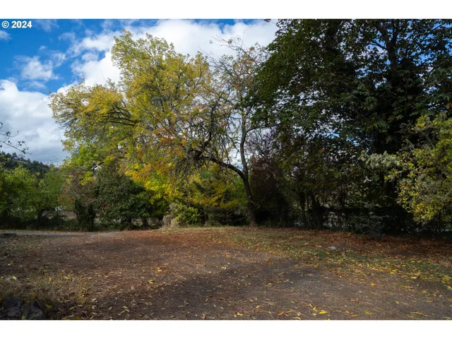 a view of a yard with wooden fence