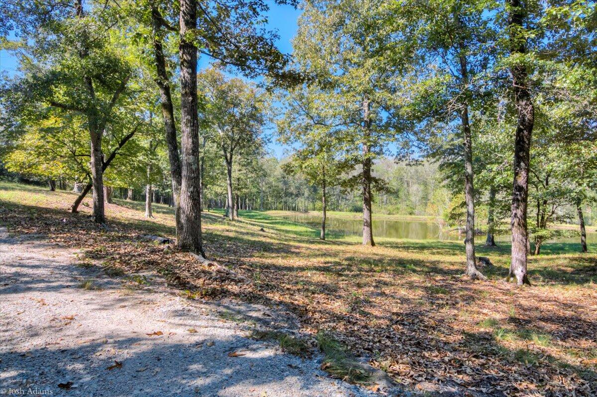 1488 Hatchaway Bridge Road Aiken, SC 29801 - Photo 56 of 65