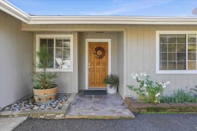 a potted plant sitting in front of a house
