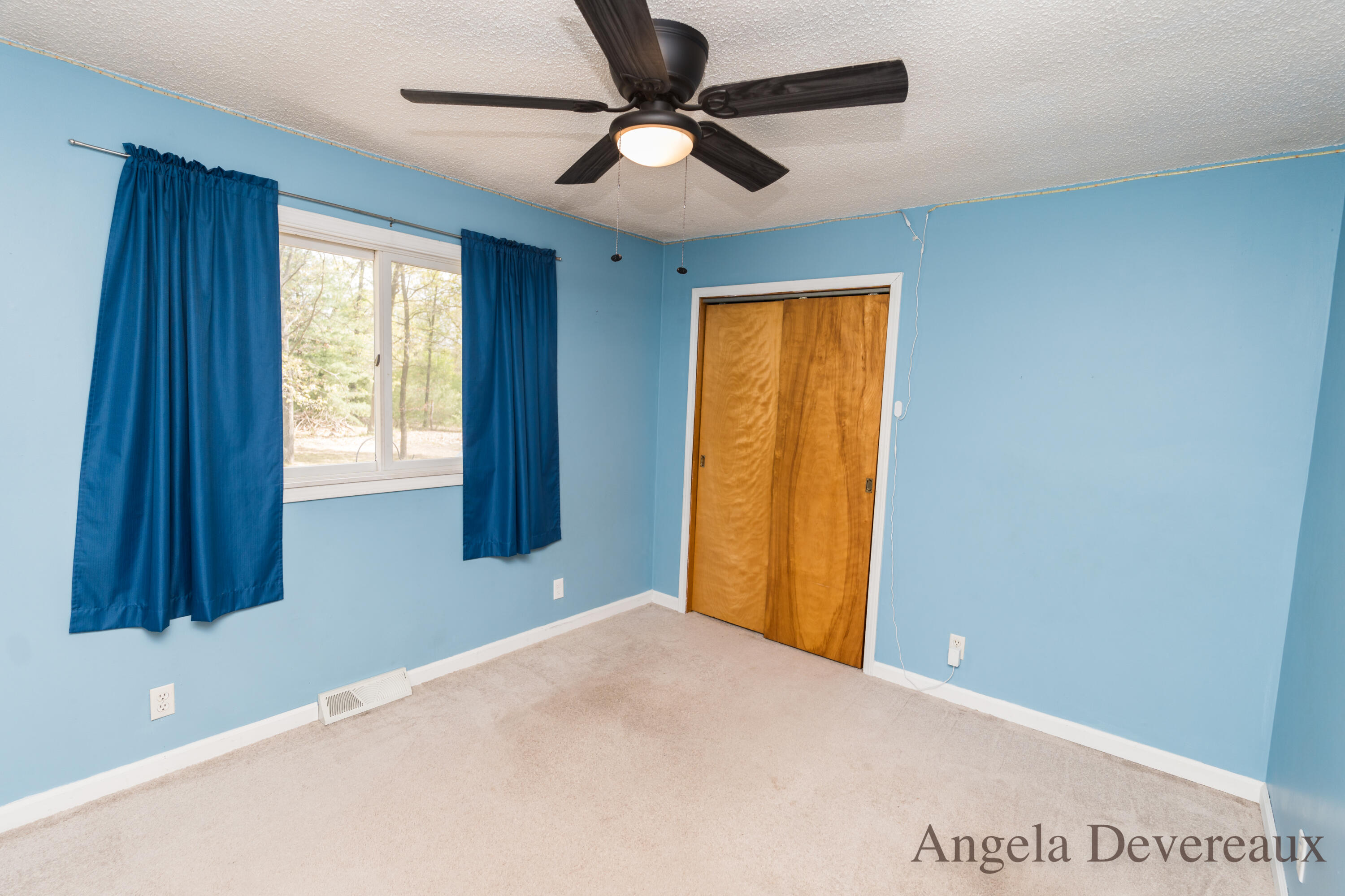 3161 West Bricker Road Fenwick, MI 48834 - Photo 23 of 55 DSC03923