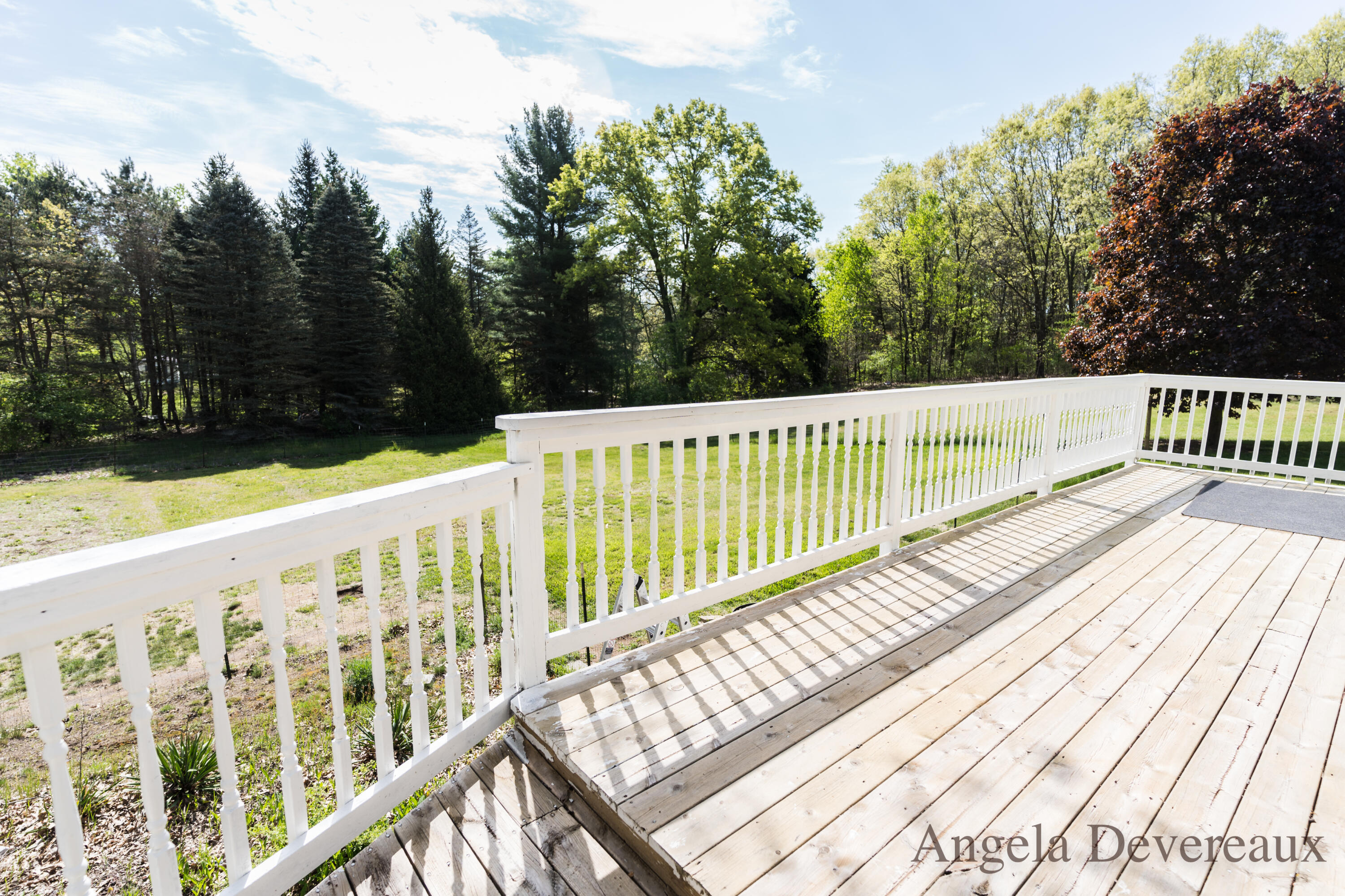 3161 West Bricker Road Fenwick, MI 48834 - Photo 54 of 55 DSC04047