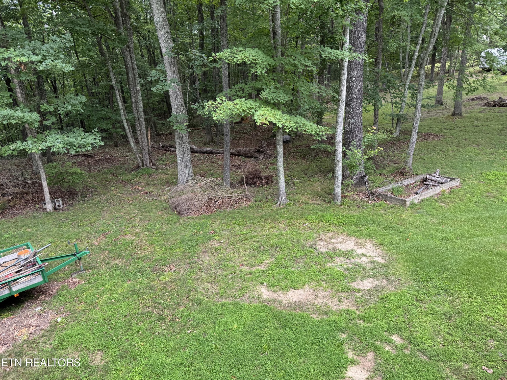 160 Brady Lane Oneida, TN 37841 - Photo 41 of 43 a backyard of a house with lots of green space