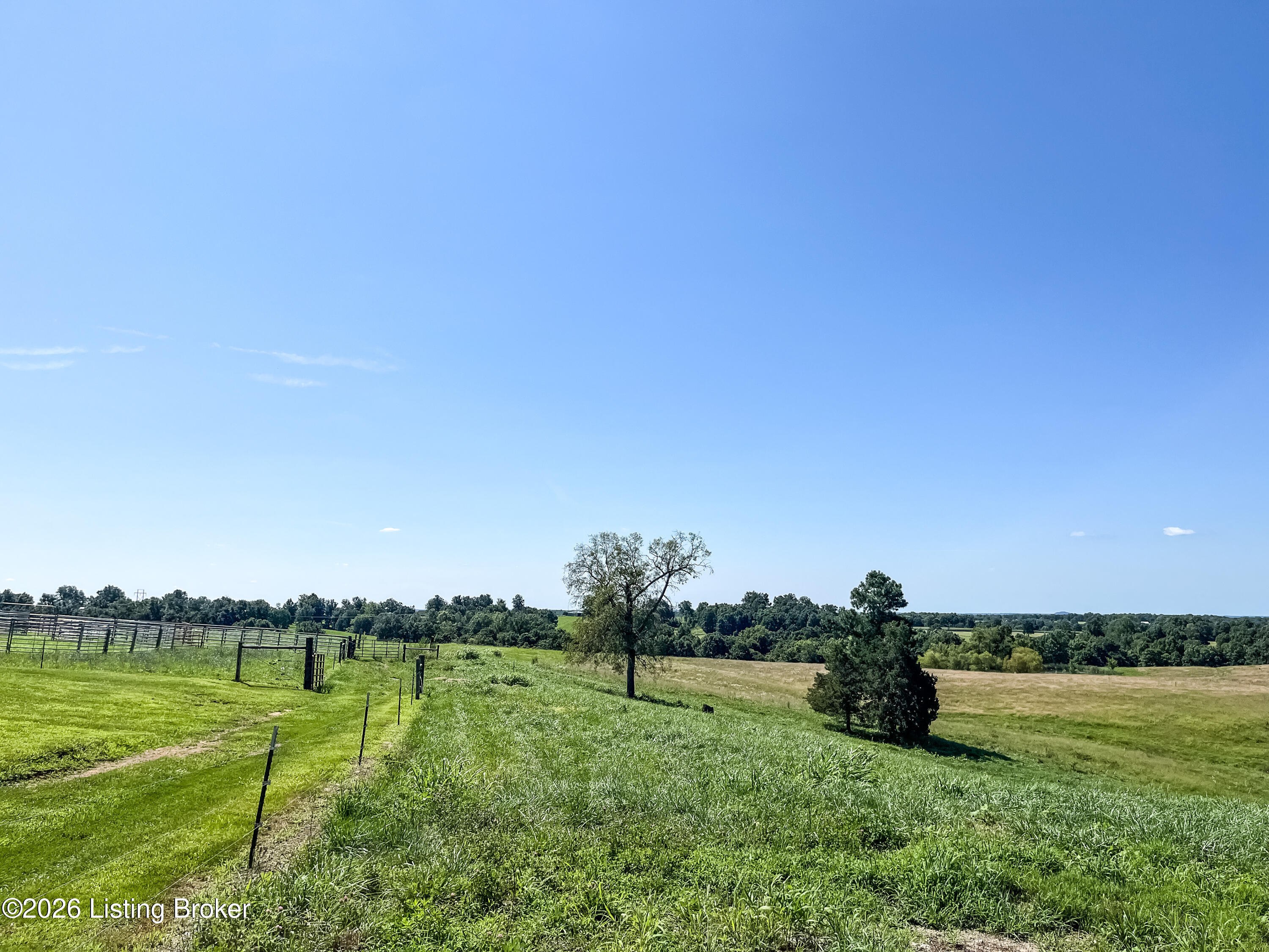 673 Dr Cheal Road Leitchfield, KY 42754 - Photo 81 of 104 5BC9945F-D1E2-4A79-8489-66639ABF8220