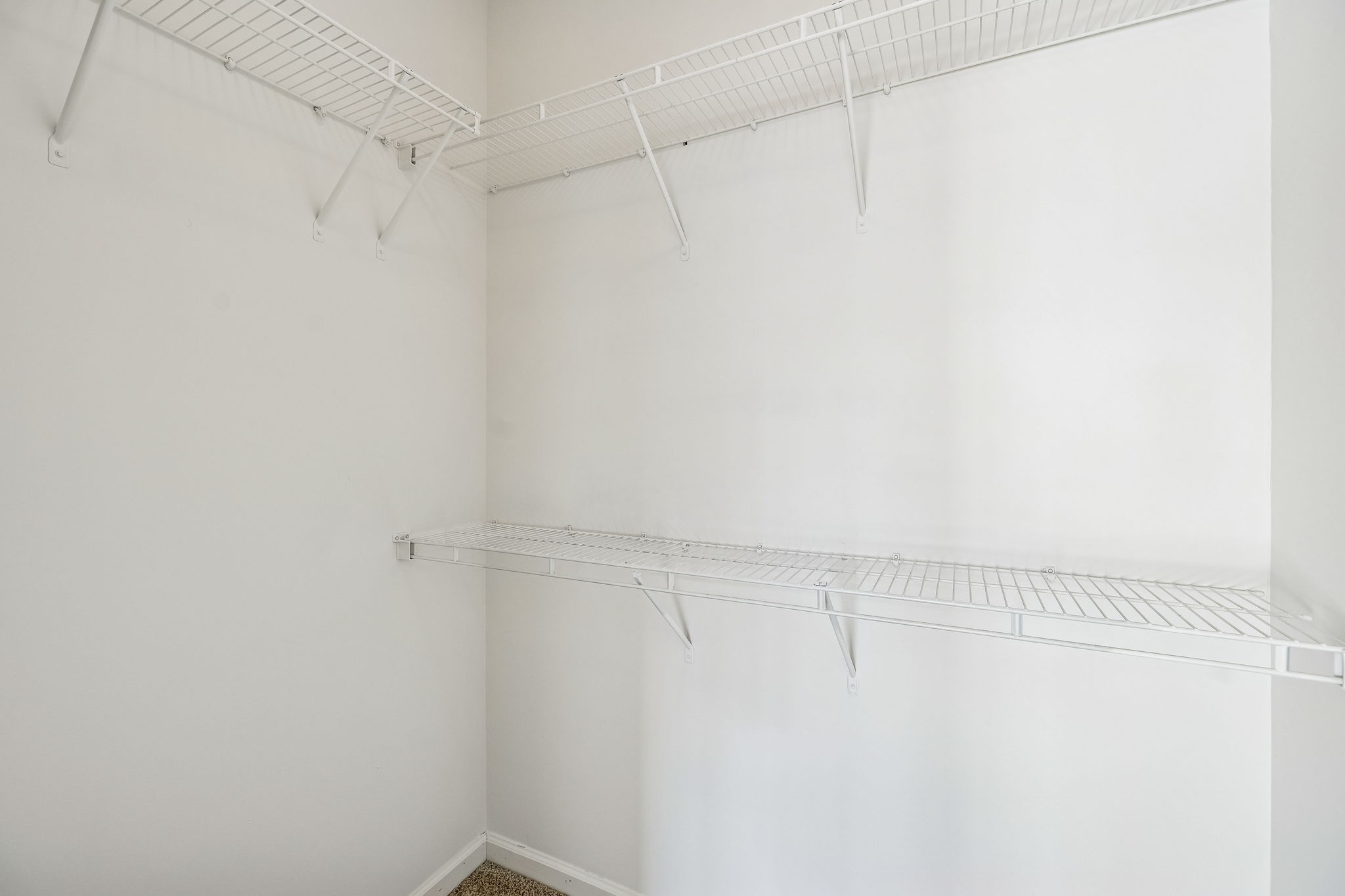 282 Meigs Drive Murfreesboro, TN 37128 - Photo 19 of 37