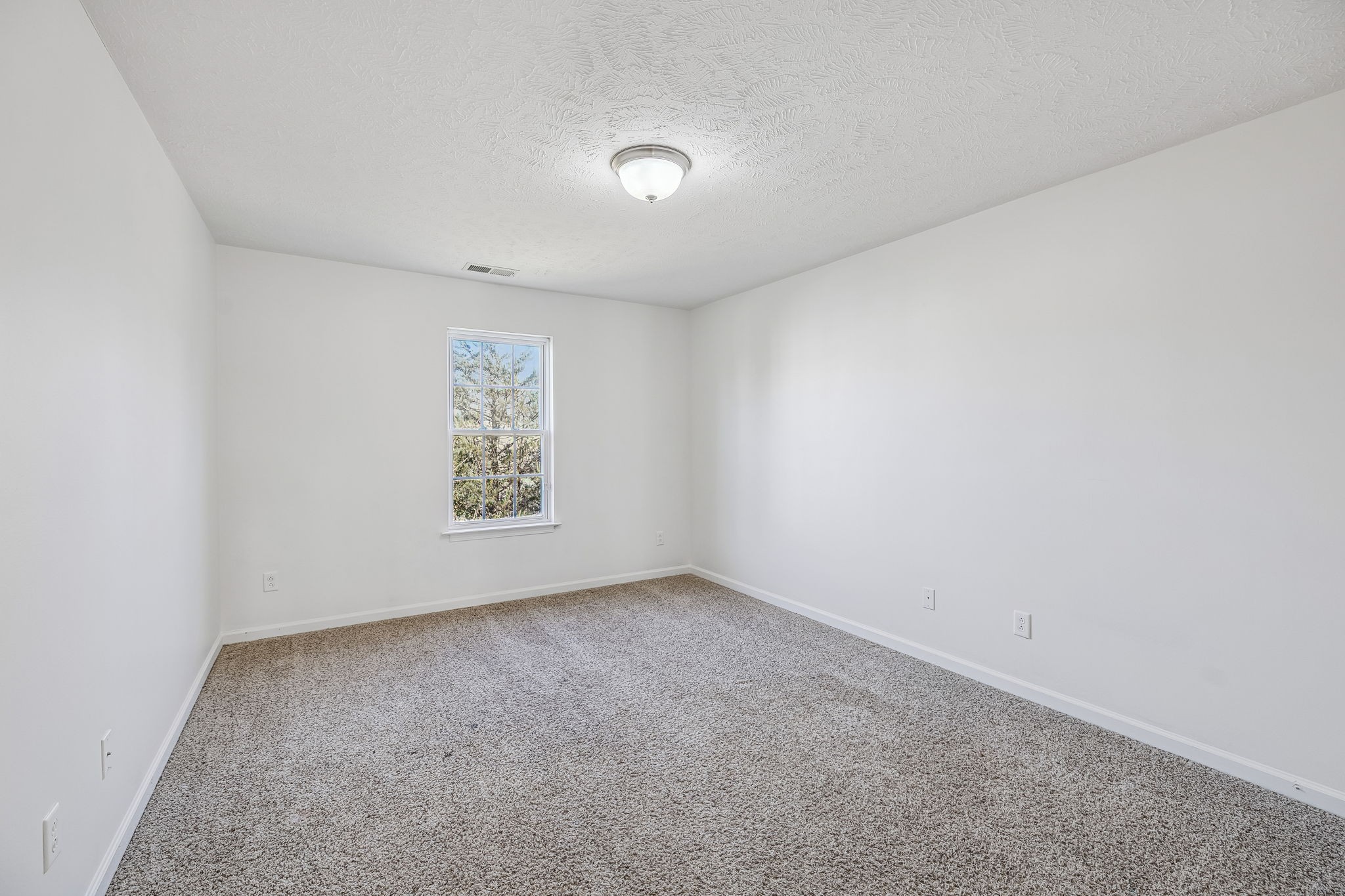 282 Meigs Drive Murfreesboro, TN 37128 - Photo 23 of 37