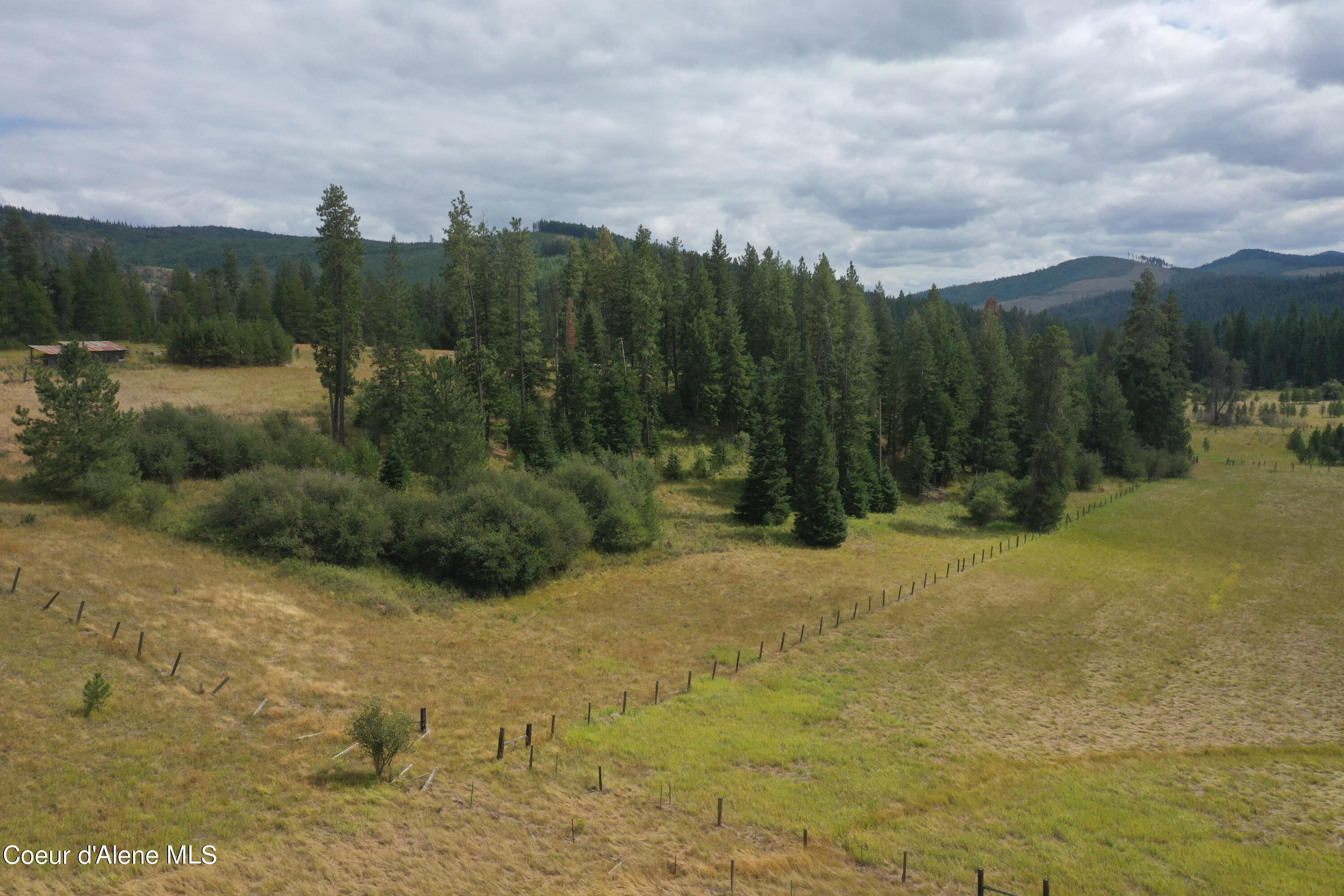 300 Windfall Pass Rd Street St. Maries, ID 83861 - Photo 1 of 1 Trees