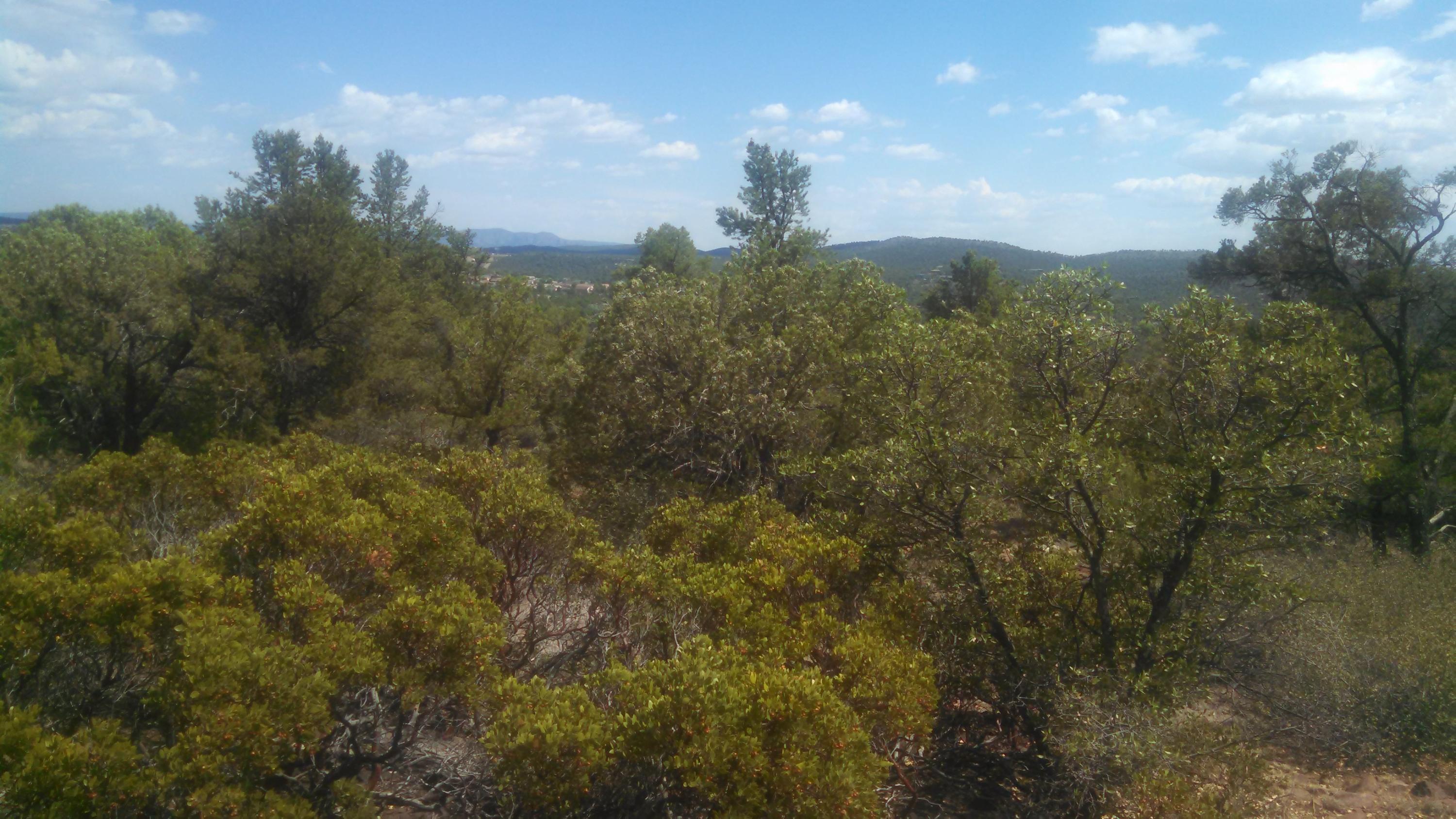 1200 West Airport Road Payson, AZ 85541 - Photo 45 of 50