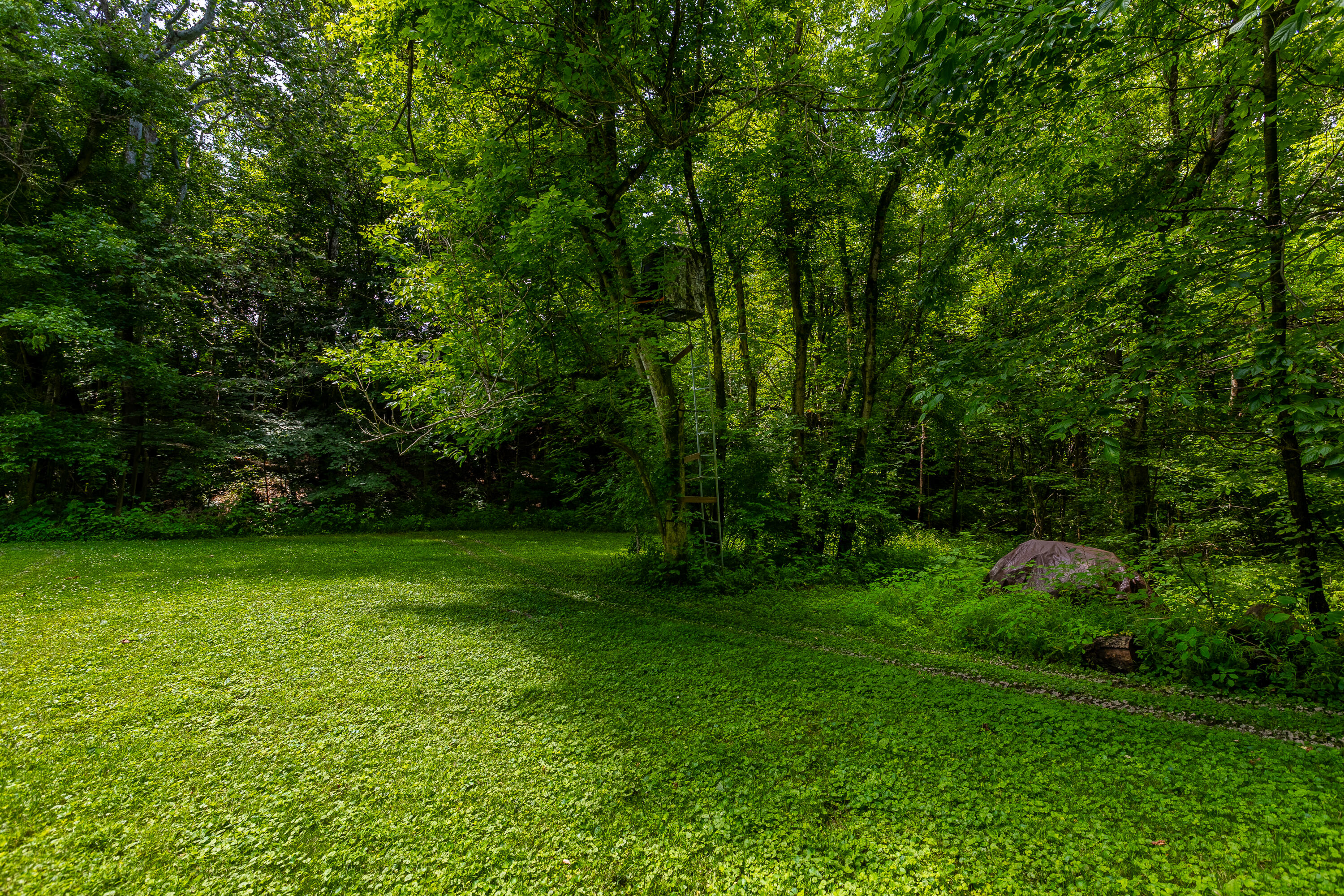 1417 North Bend Road Hebron, KY 41048 - Photo 24 of 27 C-9