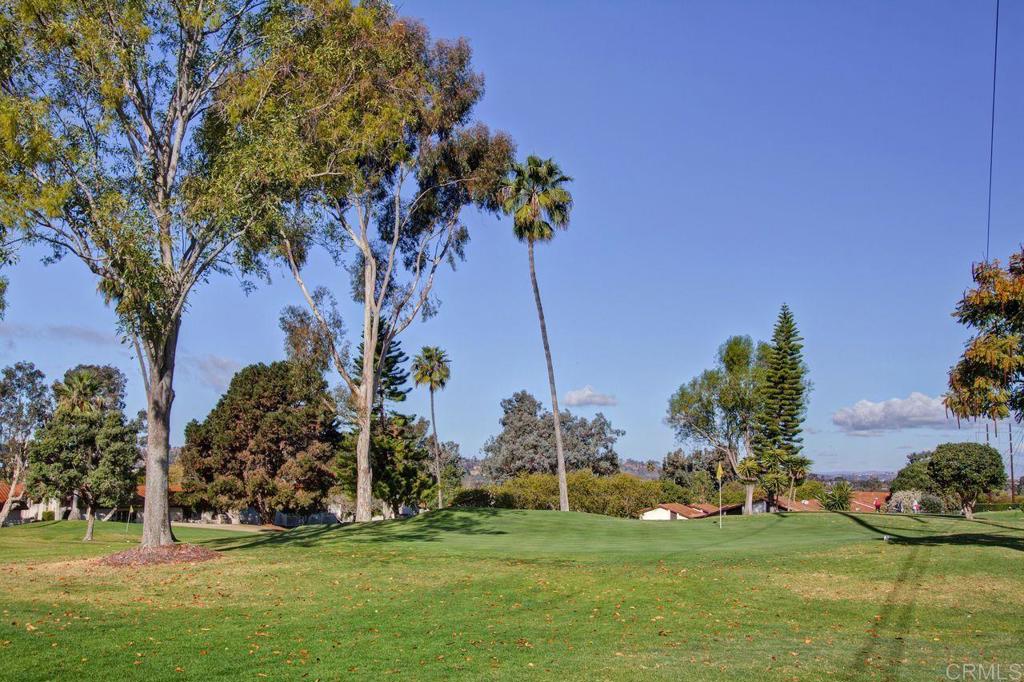 1973 Fairlee Drive Encinitas, CA 92024 - Photo 28 of 33
