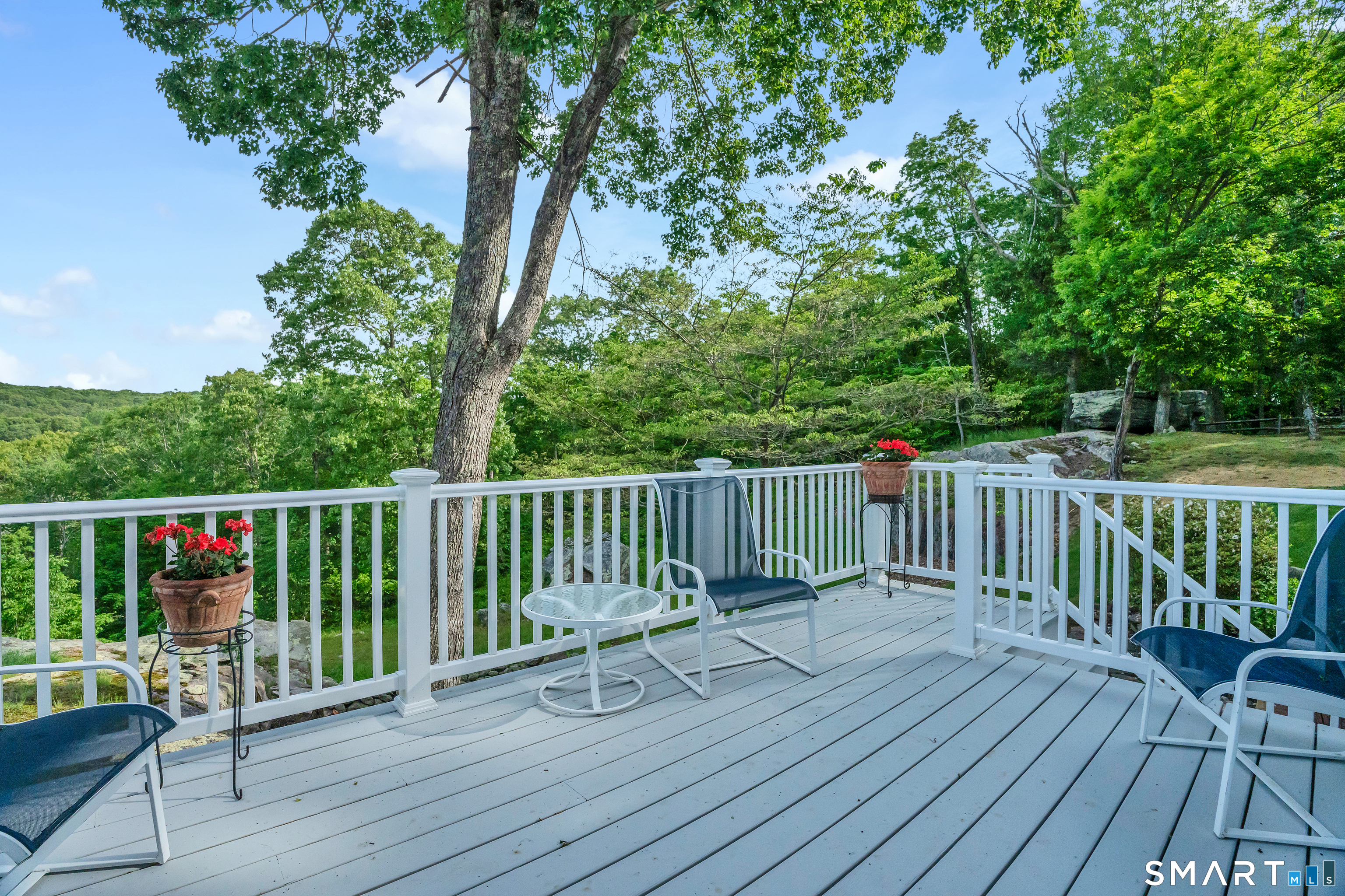 253-4 Grassy Hill Road Lyme, CT 06371 - Photo 19 of 40 deck installed in 2024