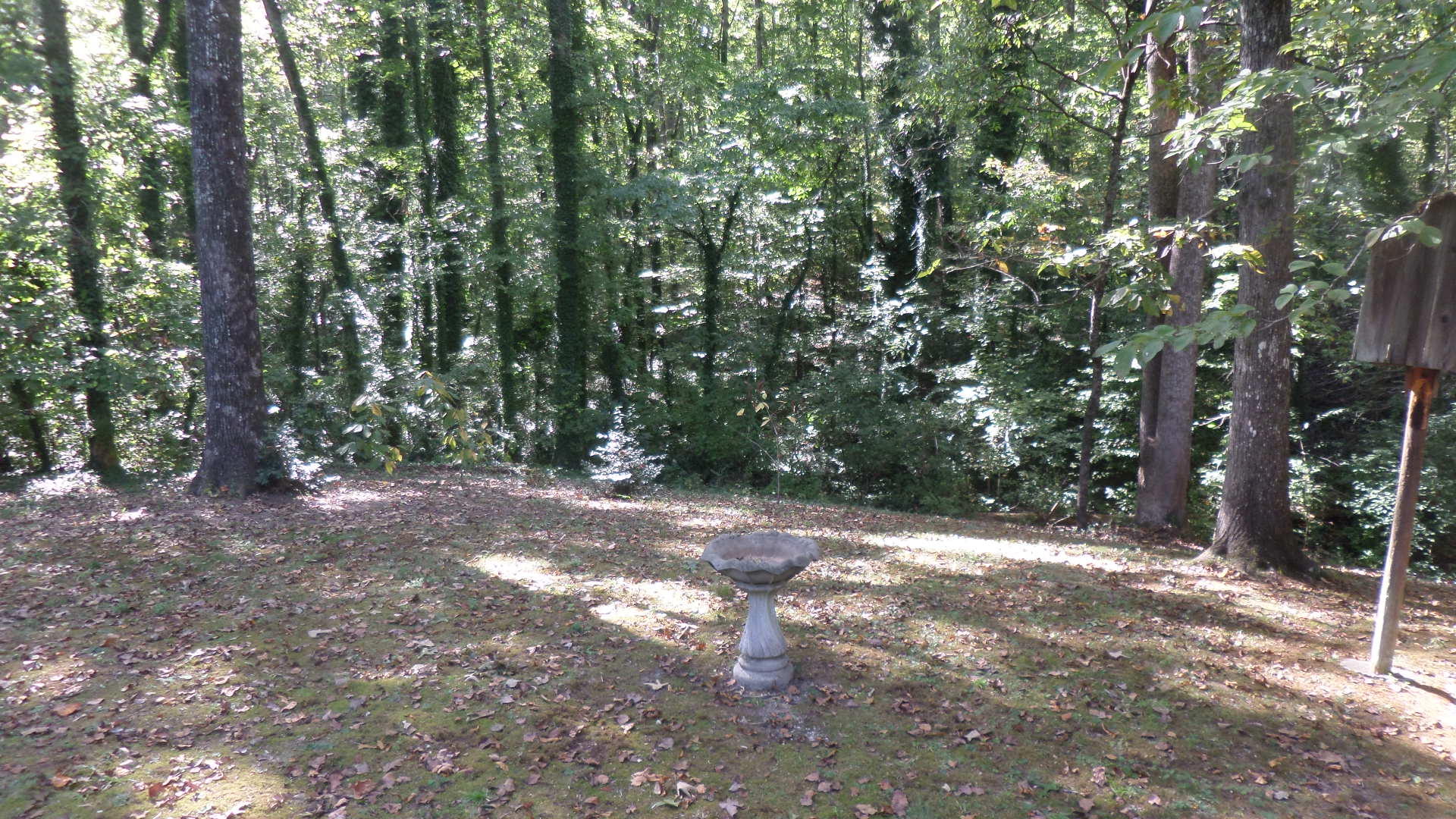 110 Chatham Lane Oak Ridge, TN 37830 - Photo 23 of 24 Back Yard