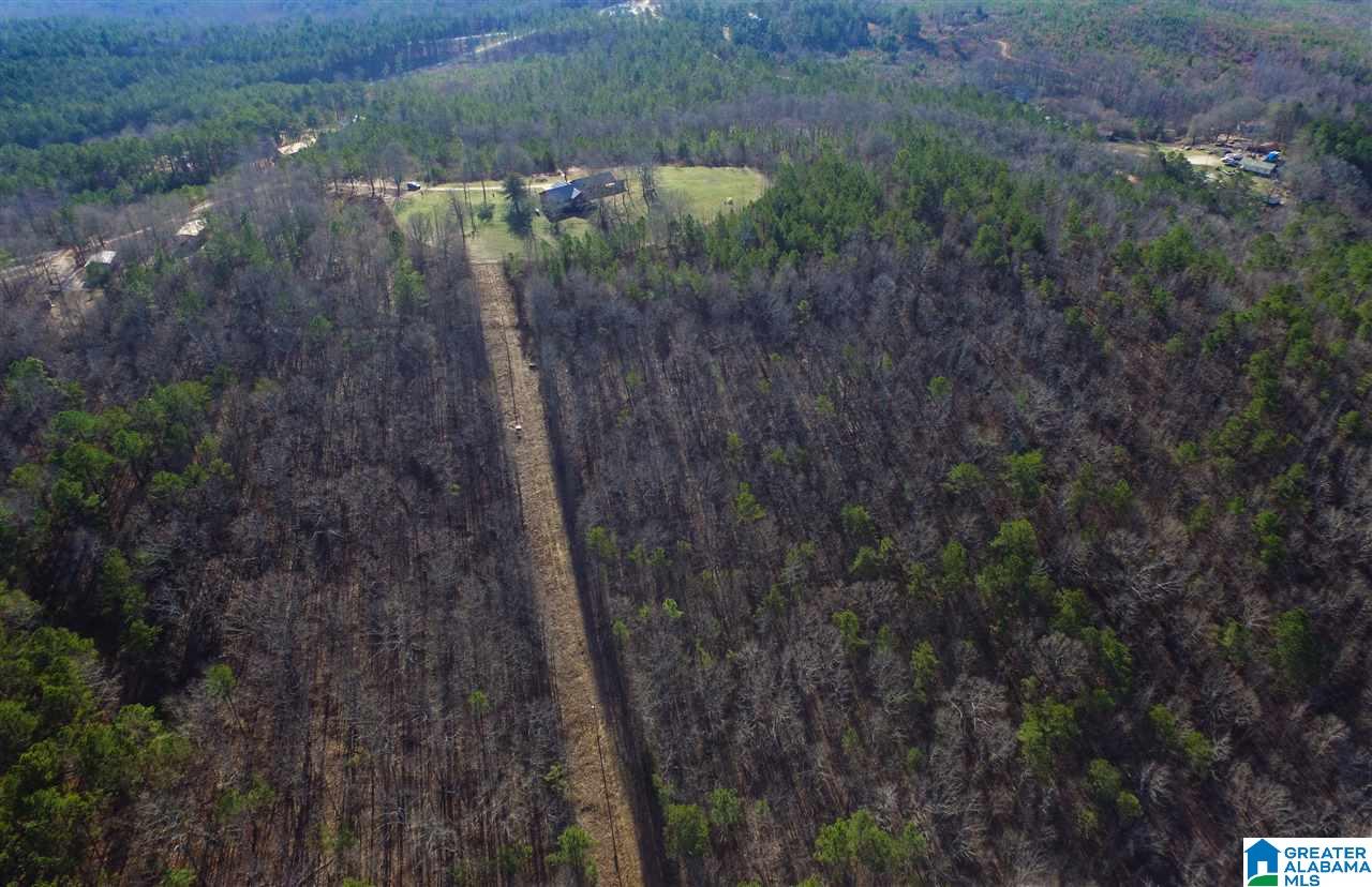 3364 County Road 329 Wedowee, AL 36278 - Photo 38 of 39