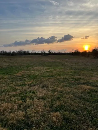 a view of an ocean from a yard